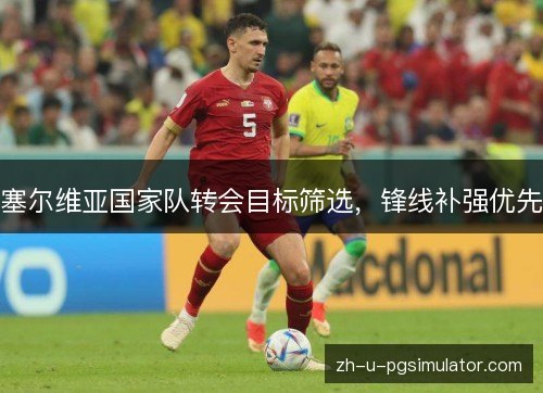 塞尔维亚国家队转会目标筛选，锋线补强优先